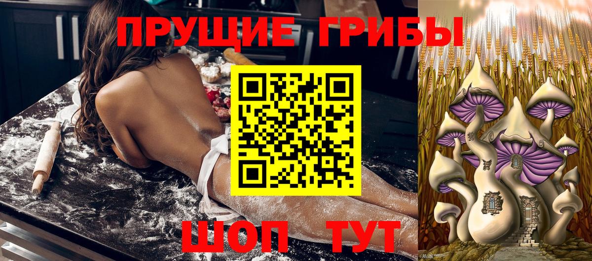 Нефтекумск  где купить наркоту  Вход с VPN  Псилоцибиновые грибы Magic Shrooms  Псилоцибиновые грибы Magic Shrooms 
